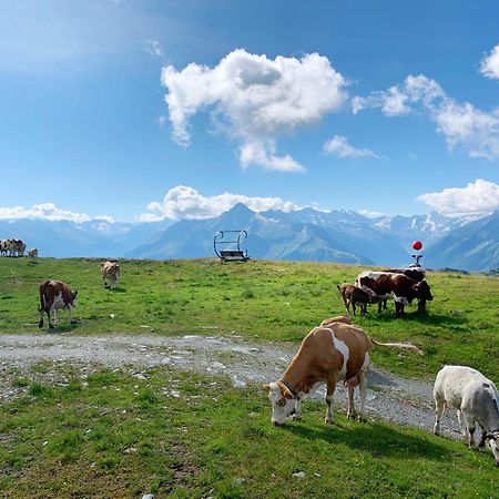 Schneekarhuette Otel Mayrhofen Dış mekan fotoğraf
