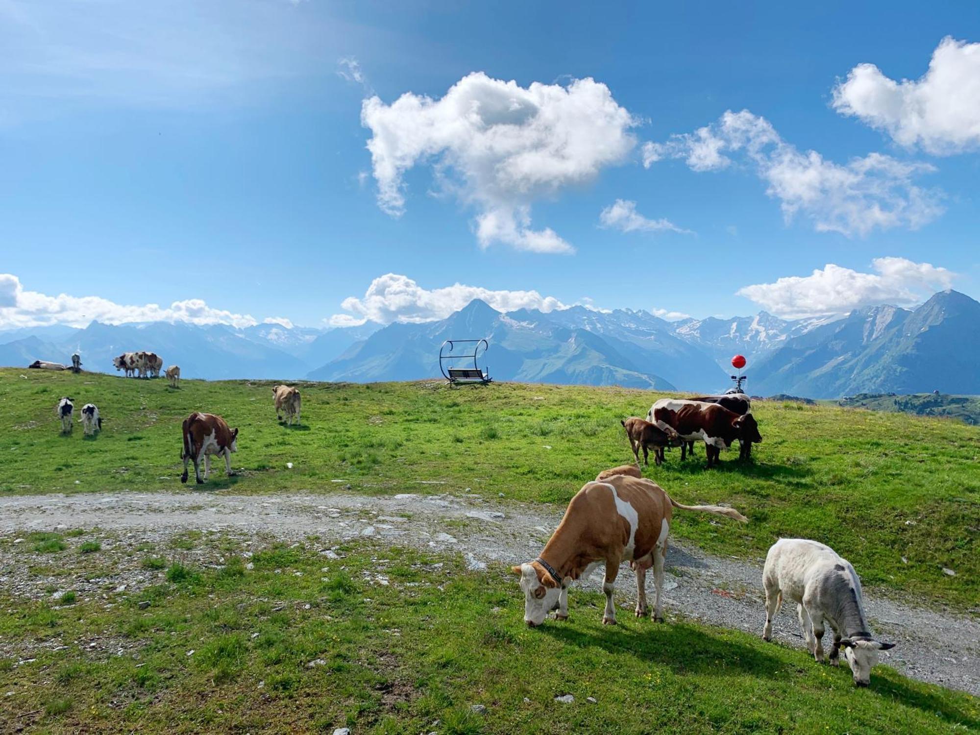Schneekarhuette Otel Mayrhofen Dış mekan fotoğraf