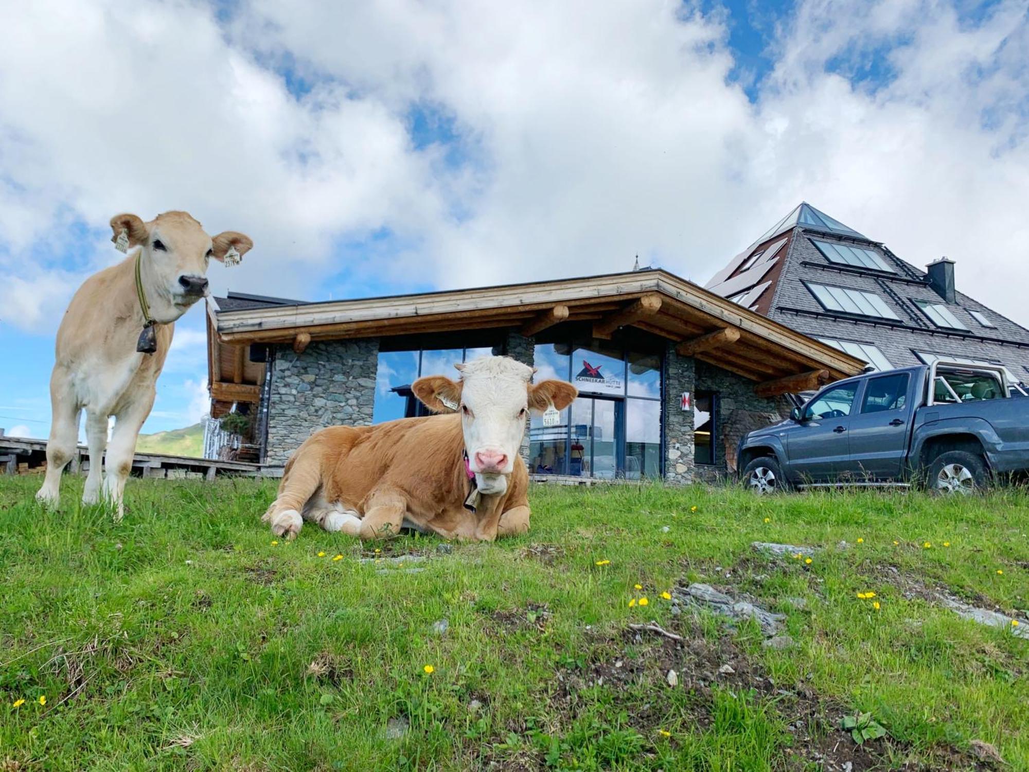 Schneekarhuette Otel Mayrhofen Dış mekan fotoğraf